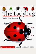 The Ladybug And Other Insects (A First Discovery Book)