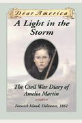 A Light In The Storm: The Civil War Diary Of Amelia Martin