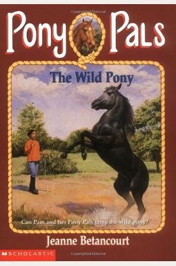 The Wild Pony The Wild Pony
