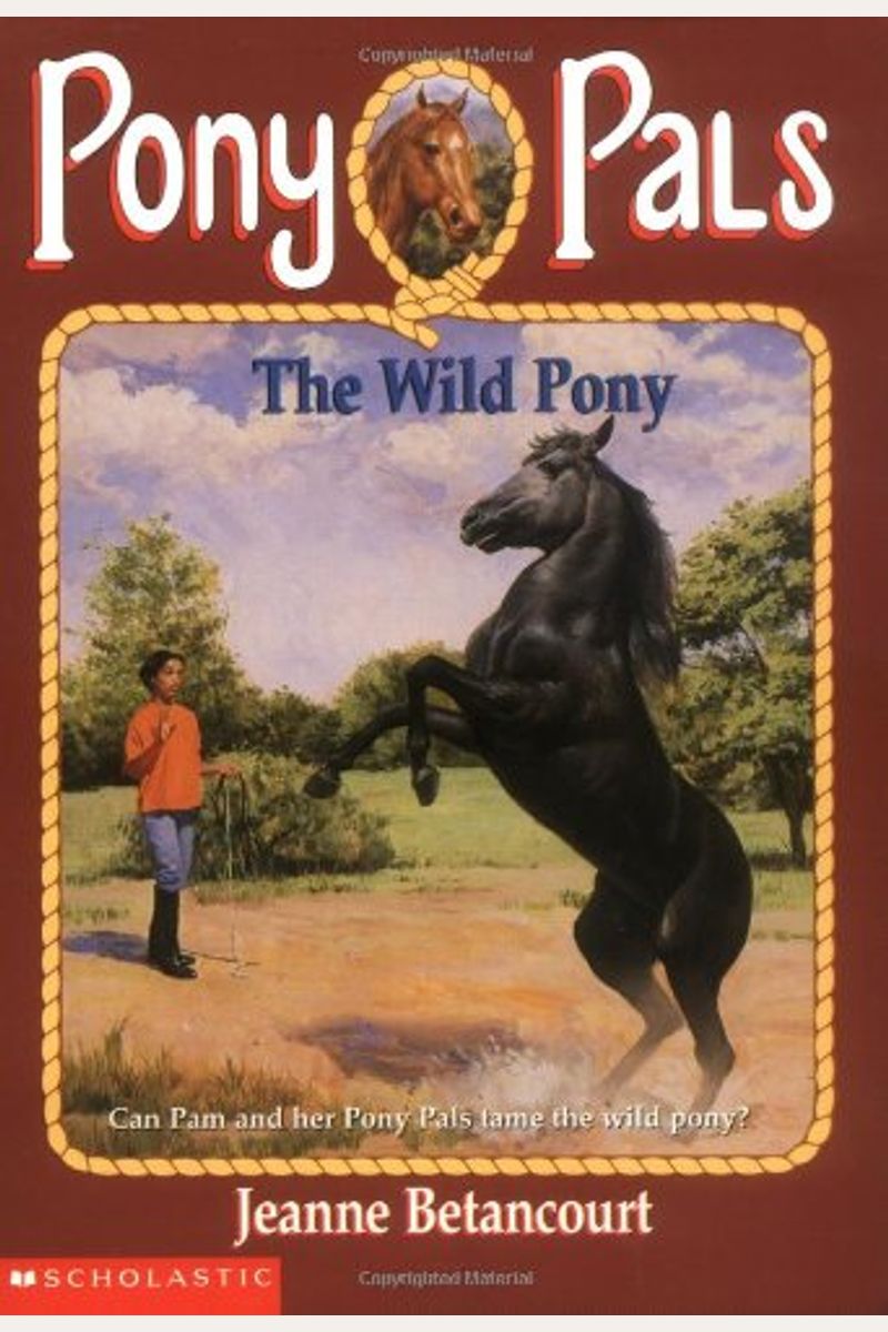 The Wild Pony