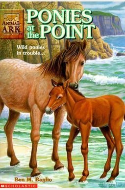 Ponies At The Point Ponies At The Point