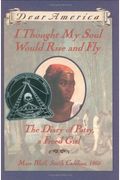 I Thought My Soul Would Rise and Fly: The Diary of Patsy, a Freed Girl, Mars Bluff, South Carolina, 1865