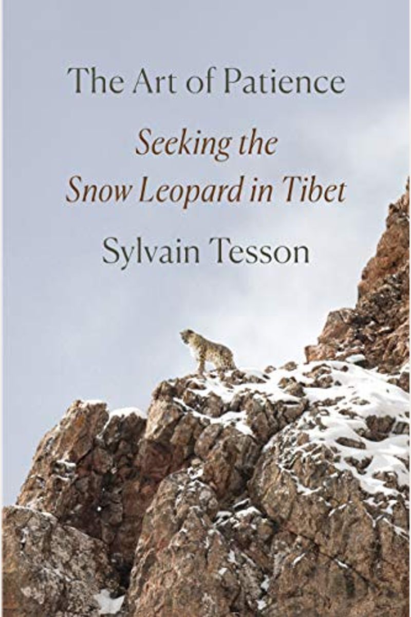 The Art Of Patience: Seeking The Snow Leopard In Tibet