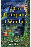 In The Company Of Witches