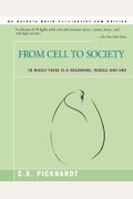 From Cell to Society: In Which There is a Beginning, Middle and End