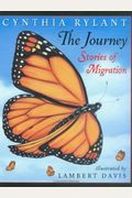 The Journey Stories Of Migration
