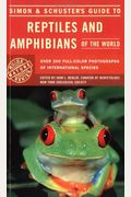 Simon  Schusters Guide to Reptiles and Amphibians of the World