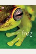 Frog A Photographic Portrait