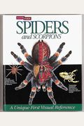 Spiders And Scorpions  A Look Inside Series