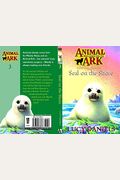 Seal On The Shore