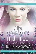 The Iron Fey Volume One The Iron Kingthe Iron Daughter