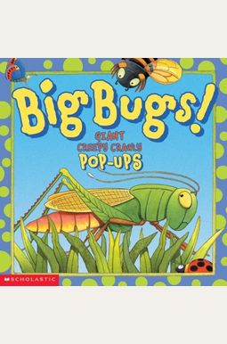 Buy The Big Book Of Bugs Book