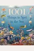 Things To Spot In The Sea