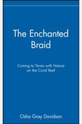 The Enchanted Braid Coming To Terms With Nature On The Coral Reef