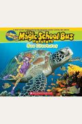Magic School Bus Presents Sea Creatures A Nonfiction Companion To The Original Magic School Bus Series