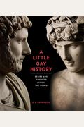 A Little Gay History Desire And Diversity Around The World