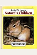 Chipmunks  Beavers