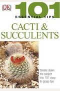 Cacti And Succulents