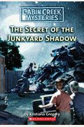 The Secret Of The Junkyard Shadow