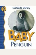 Baby Penguin San Diego Zoo
