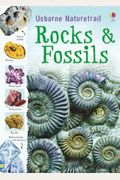 Rocks  Fossils