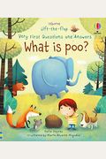 What Is Poo