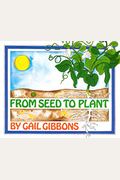 From Seed To Plant
