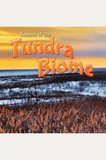Seasons of the Tundra Biodome Biomes