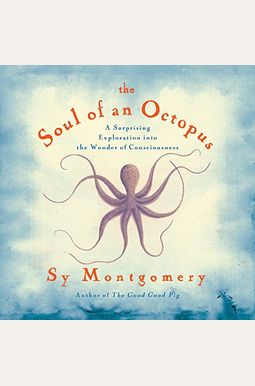 Buy The Soul Of An Octopus: A Surprising Exploration Into The Wonder Of ...