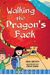 Walking The Dragons Back Rourkes World Adventure Chapter Books