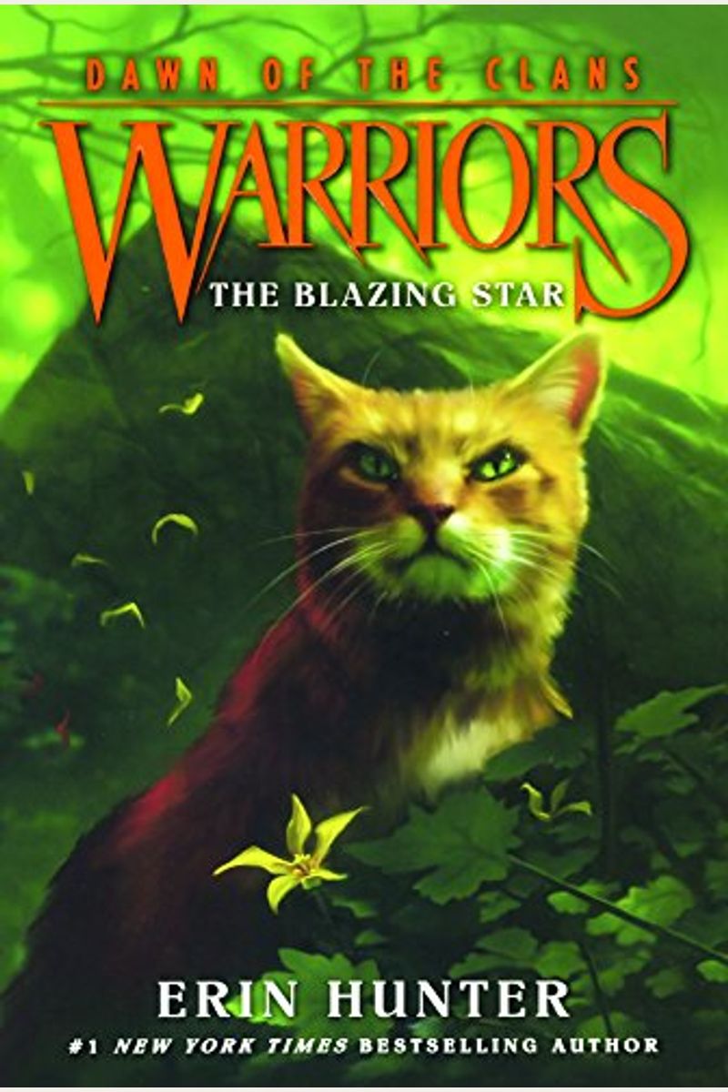 Warriors: Dawn Of The Clans #4: The Blazing Star