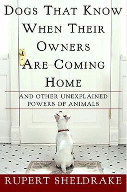 Dogs That Know When Their Owners Are Coming Home: And Other Unexplained Powers Of Animals Dogs That Know When Their Owners Are Coming Home: And Other Unexplained Powers Of Animals
