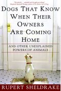 Dogs That Know When Their Owners Are Coming Home: And Other Unexplained Powers Of Animals