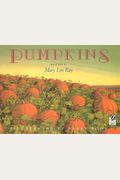 Pumpkins: A Story For A Field