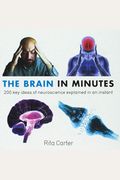 The Brain In Minutes