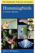 Hummingbirds Of North America