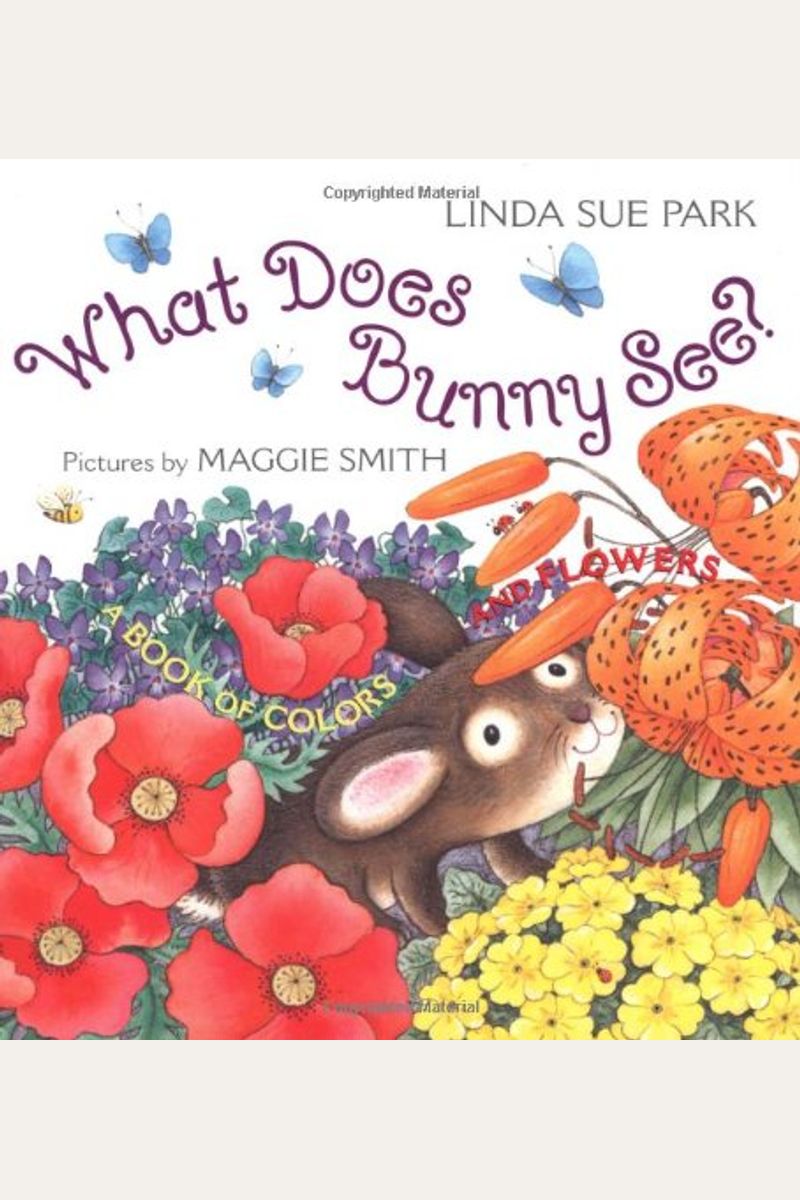 What Does Bunny See?: A Book Of Colors And Flowers