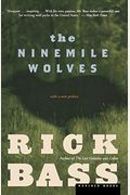 The Ninemile Wolves: An Essay