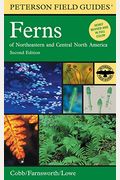 Peterson Field Guide to Ferns, Second Edition: Northeastern and Central North America