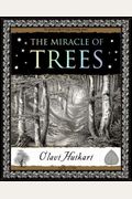 The Miracle Of Trees