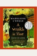 A Wrinkle In Time Madeleine LEngles Time Quintet