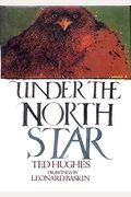 Under The North Star