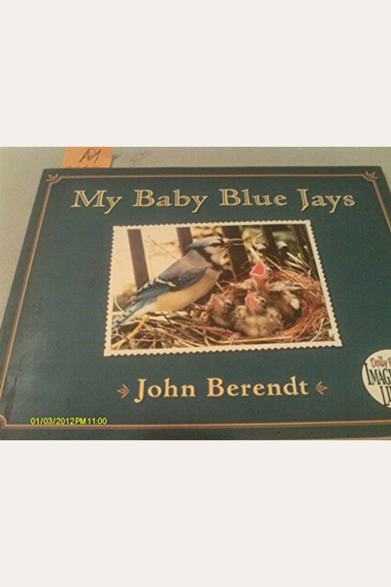 Buy My Baby Blue Jays (Dolly Parton's Imagination Library) Book