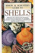 Simon  Schusters Guide To Shells Nature Guide Series