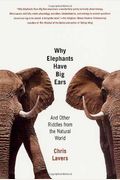 Why Elephants Have Big Ears Understanding Patterns Of Life On Earth