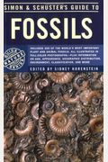 Simon And Schuster's Guide To Fossils
