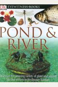 Pond  &  River (DK Eyewitness Books)