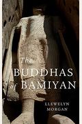 The Buddhas Of Bamiyan (Wonders Of The World)