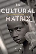 The Cultural Matrix: Understanding Black Youth