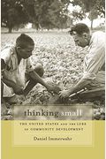 Thinking Small: The United States And The Lure Of Community Development